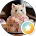 Avatar del usuario